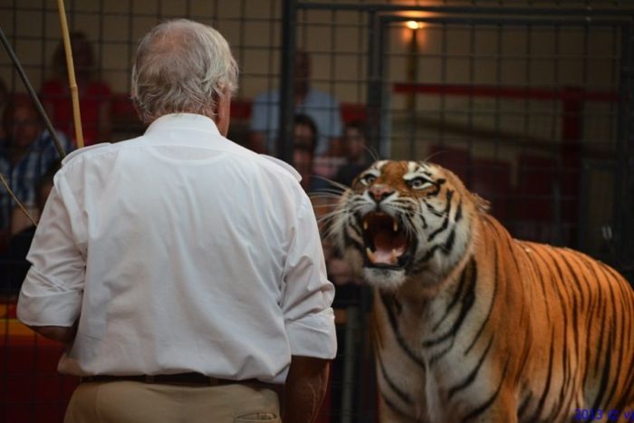 Raubtierschule Tigerpark Dassow